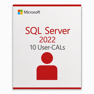 5x Microsoft SQL Server 2022 User CAL – Zugriffslizenz