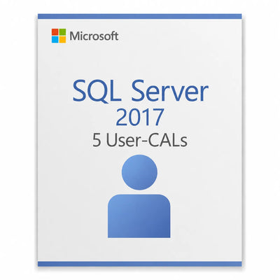 5x Microsoft SQL Server 2017 User CAL – Zugriffslizenz