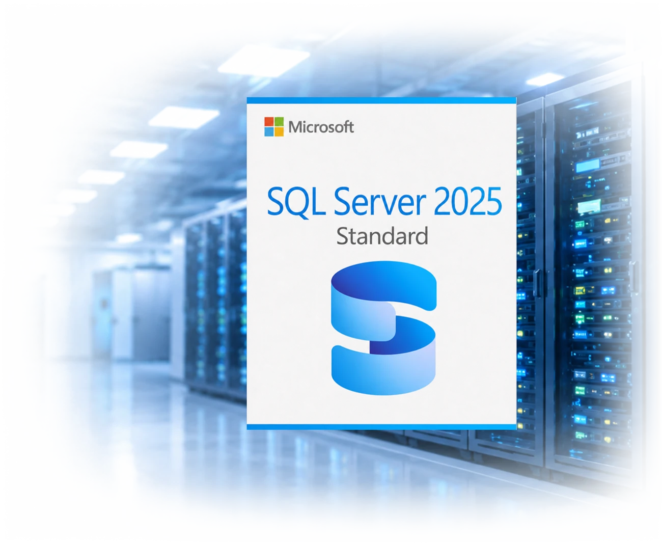 Microsoft Server Lizenzen
